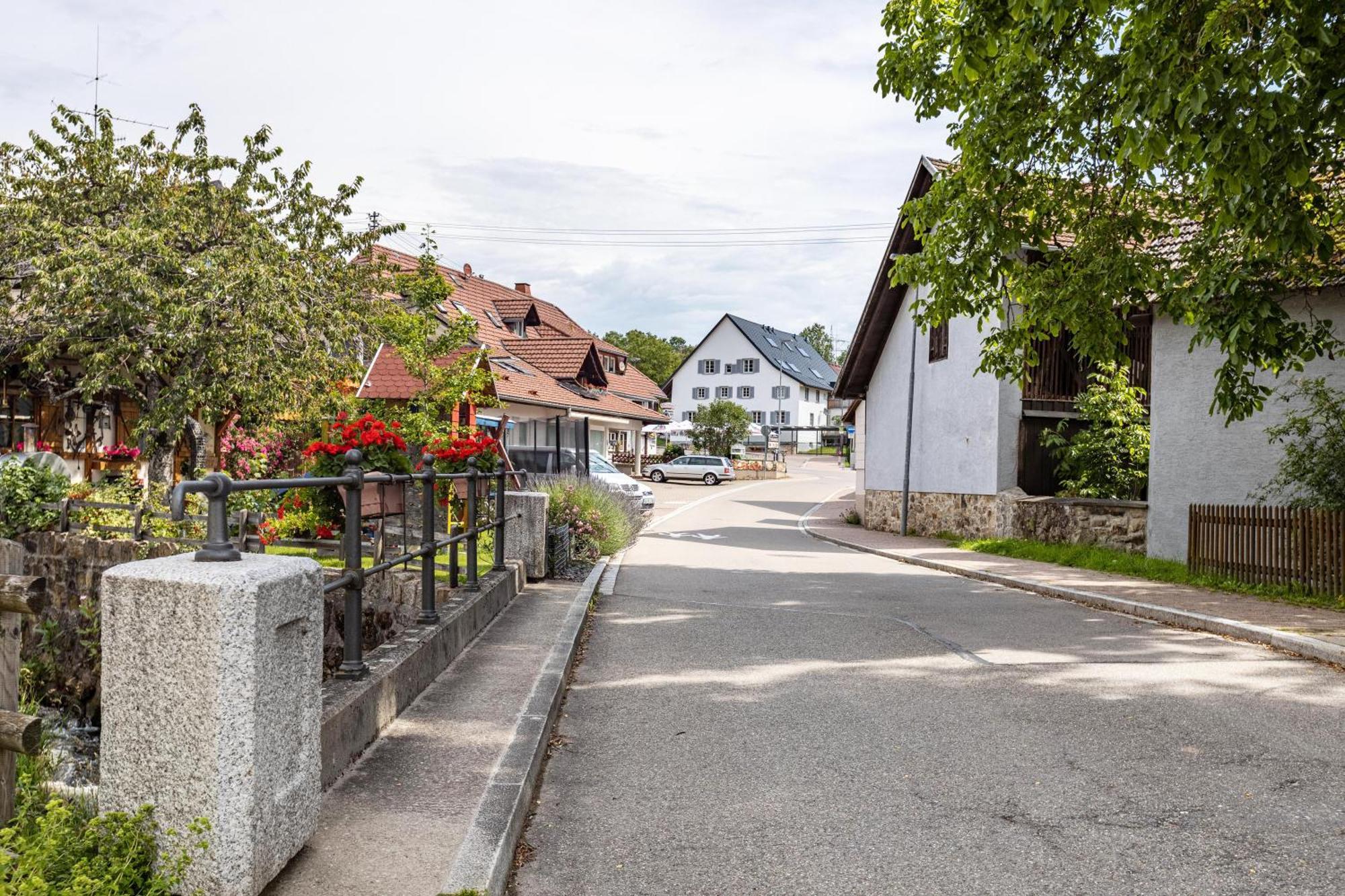 Ferienhaus Muelhaupt Ühlingen-Birkendorf Zewnętrze zdjęcie