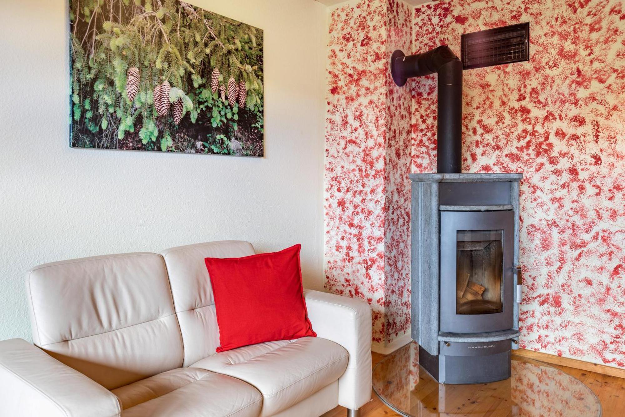 Ferienhaus Muelhaupt Ühlingen-Birkendorf Zewnętrze zdjęcie